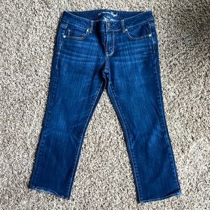 American Eagle Capri Jeans, Artist - Size 14